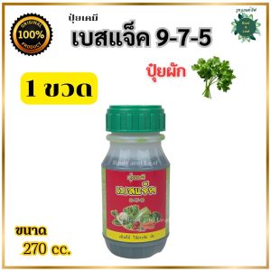 ปุ๋ยเคมี ปุ๋ยผัก เบสแจ็ค 9-7-5 ปุ๋ยแบบน้ำ ช่วยบำรุงต้น ใบและราก เพิ่มใบเขียว รากดี สร้างระบบรากให้แข็งแรง สินค้าพร้อมส่ง