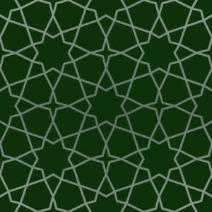 Yikang Health Care Ganoderma Lingzhi Capsules By Wellness Herbs Original Lingzhi Cendawan Merah   60 Biji