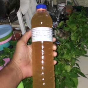 ไตรโคเดอร์ม่า ชนิดน้ํา พร้อมใช้ 600 ml