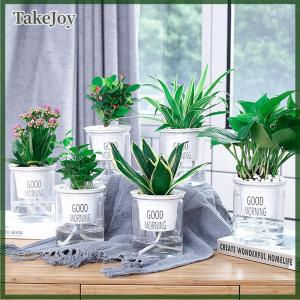 TakeJoy Transparent Flower Pot Self-Watering Plant Flower Pot Home Garden Decoration