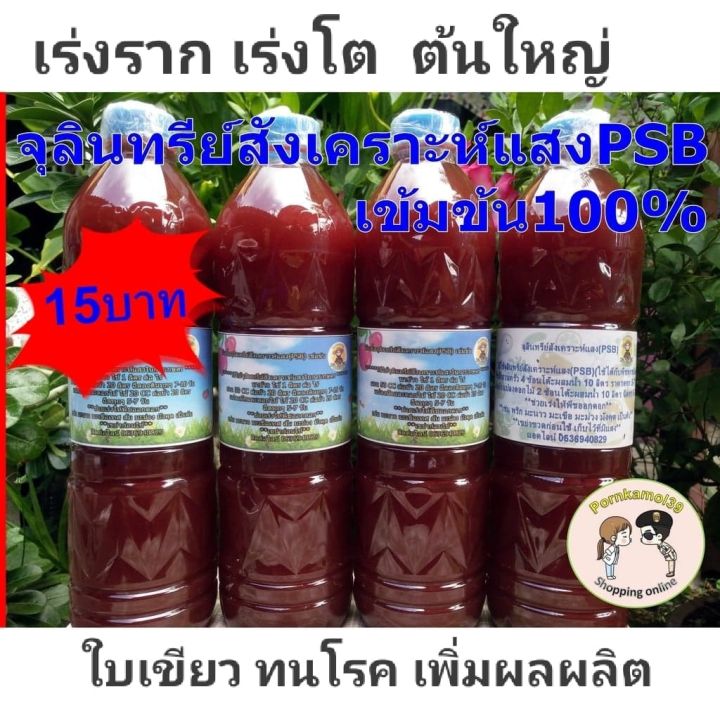 จุลินทรีย์สังเคราะห์แสง PSB เข้มข้น 600ml เร่งราก ต้นใหญ่ ใบเขียว