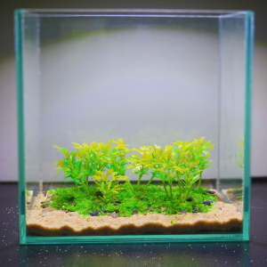 Combo bể cá 15x10x15 Bể cá thủy sinh mini để bàn phụ kiện thủy sinh cây giả Layout setup sẵn phong cách thiên nhiên