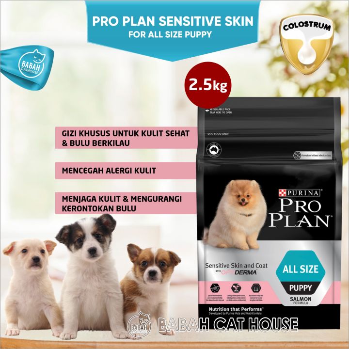 PRO PLAN Dog Puppy SENSITIVE SKIN COAT All Size Salmon
