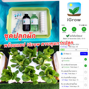 ชุดปลูกผัก + แอปปลูกผัก iGrow