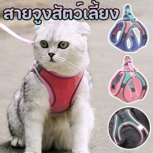 Scten สายจูงสัตว์เลี้ยง เสื้อรัดอกแมว สายจูงแมวรัดอก สามารถปรับระดับได้ สายจูงสะท้อนแสงสำหรับสัตว์เลี้ยงกลางแจ้ง