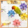 Ti Ti Parrot Bird Ring Toy for lovebird Solid Wood Educational Bird Supplies Intelligence Training Interactive Parrot Toys Bird. 