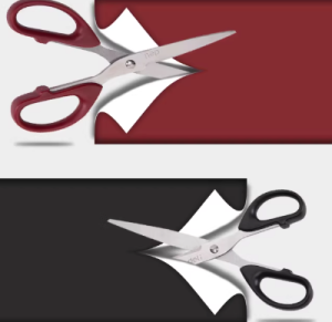 Deli Large Stainless Steel Scissors Multi-Purpose for Home Office Student Craft Paper Cutting Parcel Opening Kitchen