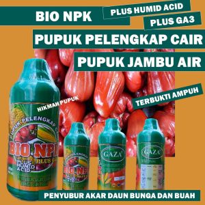 Pupuk NPK GAZA Plus Ga3 dan Humid Acid Pelebat Jambu Air Terbaik BIO NPK Isi 500 ML Pupuk Organik Cair Pelebat Jambu Air  Pupuk Booster Buah Jambu Air Hasil Panen Berlipat Ganda