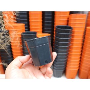 แปดเหลี่ยม 2 นิ้ว **ชุด 10ใบ 20บาท** กระถางแคคตัส กระถางต้นไม้ กระถาง2นิ้ว