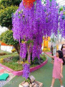 Cây hoa tử đằng giả nhiều màu nhiều kích thước thân gỗ tốt trang trí phòng khách văn phòng nhà hàng sự kiện góc check in