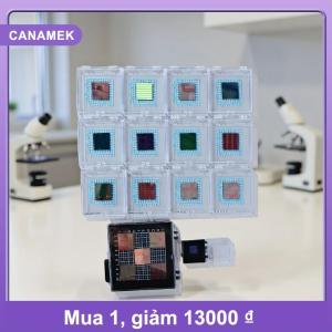 【CANAMEK】 Chip silicon bán dẫn Phong cách Ngẫu nhiên chip Trần chip silicon Chip CPU Wafer