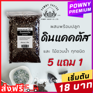 ดินแคคตัส ดินปลูกแคคตัส ดินพร้อมปลูก ดินปลูกกระบองเพชร ดินปลูกไม้อวบน้ำ ดินผสมสำเร็จ สูตรโปร่งพิเศษ รากเดินดี ดินปลูกแคตตัส