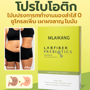 พรีไบโอติกส์ปรับลำไส้สมดุล สุขภาพลำไส้ โปรไบโอติก โพรไบโอติก และการย่อยอาหาร 益生元平衡肠道 肠道健康