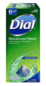 Dial Antibacterial Bar Soap Mountain Fresh 3.2 Ounce 6 Bars