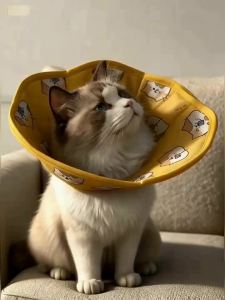 FFBH Portable AdjustableElizabeth Collar Cartoon Pattern BreathableRecovery Cone Waterproof Soft Cat Head CoverCare 3T7R1