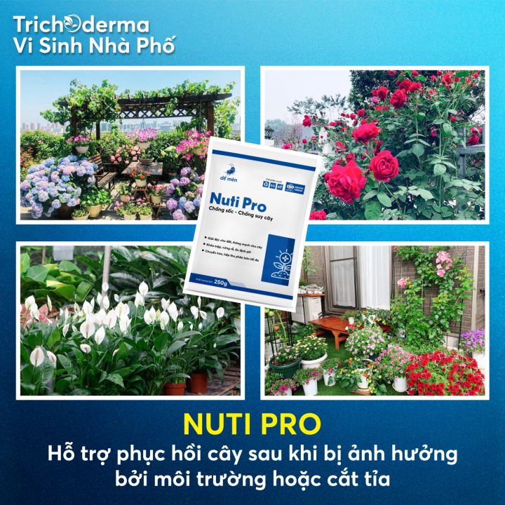Nuti%20Pro%20D%E1%BA%BF%20M%C3%A8n%20%E2%80%93%20Ph%E1%BB%A5c%20h%E1%BB%93i%20c%C3%A2y,%20t%C4%83ng%20s%E1%BB%A9c%20%C4%91%E1%BB%81%20kh%C3%A1ng%20250g%20-%20Image%204
