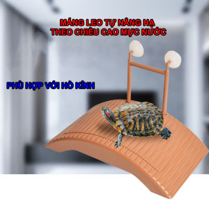 Máng leo phơi mình cho rùa dâng theo mực nước dạng TREO