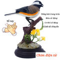 Chim điện tử tự hót khi có âm thanh. 