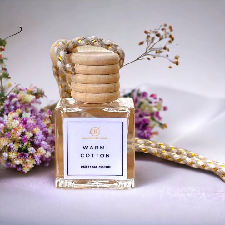 Hanging Car Diffuser Fresh Smelling Car Car Freshener New Car