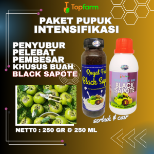 Pupuk Pelebat Buah / Pupuk Black Sapote / Pupuk Khusus Buah Black Sapote / Pupuk Tanaman Buah Black Sapote / Pupuk Booster Buah Buahan