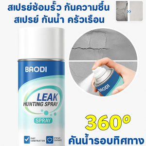 สเปรย์กันน้ำเพื่อสุขภาพ สเปรย์ซ่อมแซมผนังภายนอก