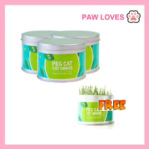[Sg Ready Stock] Cat Grass Seed For Planting Easy to Grow Oat Grass That Your Cat Will Love Good Cat Grass - Pet Cat Grass Pot Hydroponics Set Cat Grass Snack Hair Ball Cleaning Stomach Grass Hydroponics Grass Cat Snack Cleaning Toys - Paw Loves