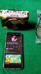 Loa bẫy chim trợ giảng ws 898 có bluetooth tặng thẻ 4G Điều khiển từ xa 200m