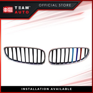 TeamAutoCare TAC40061 BMW Z4 2009-2017 Centre Mesh Tri-Color Trim Strip