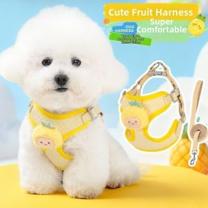 LABAICAI Adjustable Dog Harness and Leash Set Breathable Lightweight Dog Chest Strap Fruit Pattern Animal Shape Cat Traction Rope Outdoor