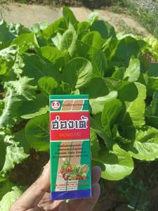 ฮ่องเต้ อโทนิค บำรุงผัก กระตุ้นการเจริญเติบโต เร่งการแตกราก เพิ่มปริมาณรากฝอย ขยายขนาดเซลล์ เพื่อการเติบโตทั้งรากและใบ ทำให้พืชฟื้นตัวจากความเครียด (เช่น อากาศแปรปรวน ศัตรูพืช)ขนาด 100 ซีซี