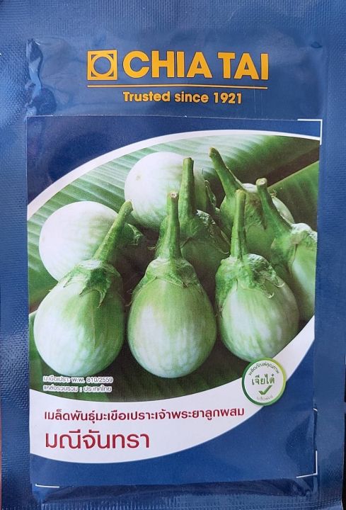 เมล็ดพันธุ์มะเขือเปราะเจ้าพระยาลูกผสม มณีจันทรา ตราเจี่ยไต๋