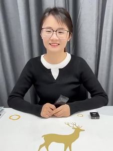 Smart Translator Voice Interpreter 2025 New Multi-Language English Offline Travel Translator for Overseas Trips