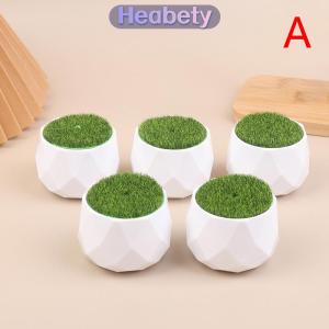 Heabety 5 cái Chậu Hoa Tròn trồng với cỏ nhân tạo bình hoa trắng nhựa dày cây chậu hoa trang trí sân vườn nhà