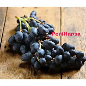 Bibit Anggur Import Hitam Super Manis