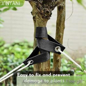 [COD] CHENJ KITCHEN Windproof Tree Belt Anti-Hurricane Stereotyped Nylon Fixed Strap Good Support Newly Planted Branch Belt Yard Accessory