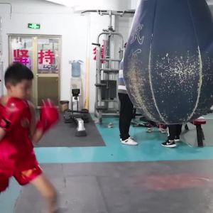 Muay Thai Shorts MMA T Shirt Kungfu Wushu Clothing Martial Arts Sanda Rashguard Boxing Pants Men Women Kids Performance Costume