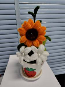 ดอกไม้กำมะหยี่ ขนาดอก 7 ซม.ในกระถาง 4 นิ้ว สูงสุด 20 ซม.