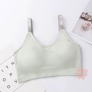 Japanese Style Classic Sports Bra Non-Wired Padded 🍭Push-Up Breathable Comfortable Wire Underwear Lingerie Bralette