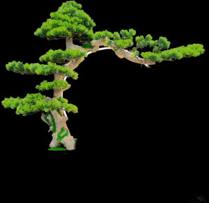 Bộ Tiểu Cảnh Bonsai Cao Cấp Bonsai Thủ Công Trang Trí Tiểu Cảnh Trang Trí Phòng Khách Góc Tu Tập