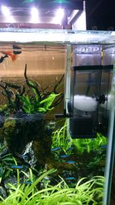 Skimmer Saringan Permukaan Air Aquarium Yamano JY 03 Penyedot Kotoran Ikan Tanpa Kuras Dan Alat Oksigen Aquascape Produk Original Murah
