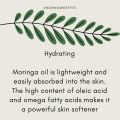 Moringa Project Moringa Facial Oil มอริงก้าเฟเชี่ยลออยล์ น้ำมันมะรุม บำรุงผิวหน้า (30 ml or 100 ml). 
