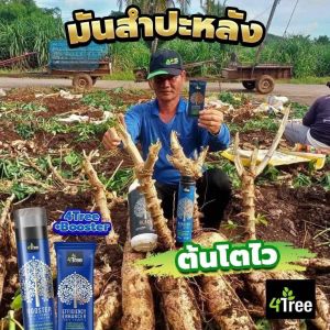 4Treeของแท้ โฟร์ทรี+บู๊สเตอร์ คู่หูพลังคูณ 4 อินทรีย์ธรรมชาติสูตรอิออน เร่งราก โตเร็ว เขียวนาน เพิ่ม%แป้ง เพิ่มน้ำยาง นวัตกรรมใหม่จากอิสราเอล ใช้ได้กับพืชทุกชนิด (1 ชุดใช้ได้ 20 ไร่ ) ของแท้ 100%