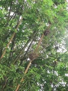 ร่มอัตโนมัติสำหรับรถยนต์ DEEPAL E07 S7 SL03 S05 ร่มกันแดดแบบพับได้สำหรับแดดและฝน ขนาดใหญ่ หลายฟังก์ชัน ปลอดภัย ร่มทุบกระจกแตก