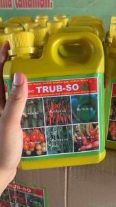 TRUB-SO 1LT ADALAH PUPUKUNTUK MERANGSANG PERTUMBUHAN DAN KESUBURAN SEMUA TANAMAN