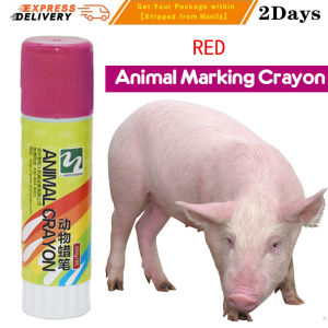 【Fast Shipping】 Crayons Veterinary Marker Medium Crayons Farming Tools for Livestock Marking Marker Animal Marker Animal Crayon