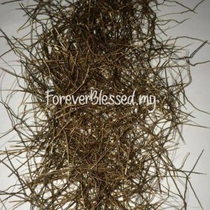 20 PCS SEEDS/BENIH AKAR BULU/BULUH PERINDU ASLI/JANGGUT ADAM/CENUAI/CENOI/BULU MAGIC