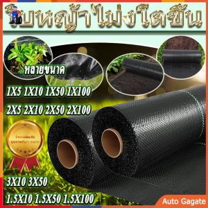 พลาสติกคลุมวัชพืช ผ้าคลุมหญ้า ผ่านการทดลองใช้งานจริง ฆ่าหญ้า 1*5 2*50 2*100 3*50 กำจัดหญ้า พลาสติกคลุมดิน พลาสติกคลุมหญ้า