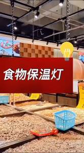 YFD  Food Warmer Lamp Food Heating Pendant Light Commercial Supermarket Dried Goods Moisture-Proof Warmer Lamp Adjustable Height and Stretchable Lamp