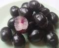 ต้นองุ่นบราซิล JABOTICABA MYRCIARIA CAULIFLORA ต้นโต สูง 50-70 เซนติเมตร แข็งแรง ดูแลง่าย 1-2 ปีติดผล. 