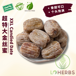 LoHerbs 超特大金丝蜜枣 XXL Size Golden Silk Candied Date Medjool